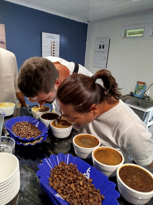 Coffee Experience JUNE 20